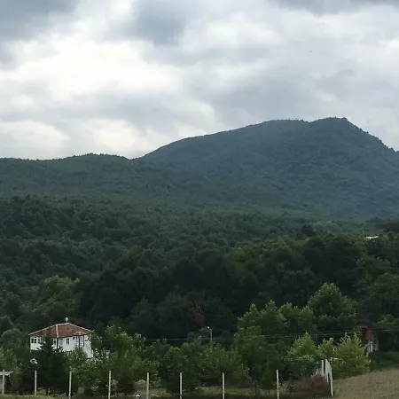 Hotel apartamentowy Pasa